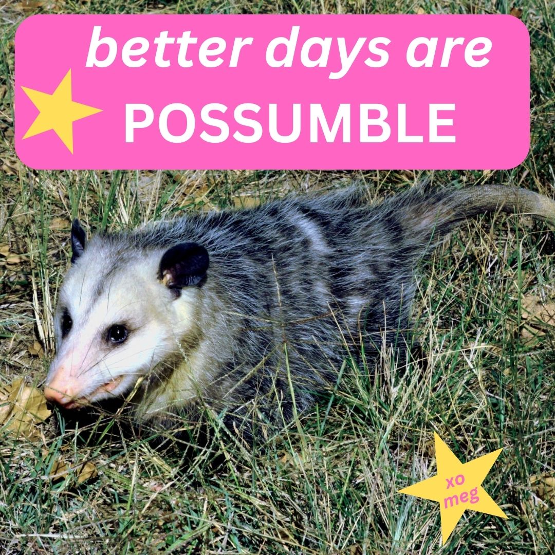 possumble